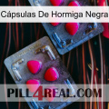 Cápsulas De Hormiga Negra 14